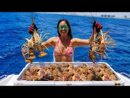 DIVING for LIMITS of LOBSTER!! Catch, Clean, & Cook!! Florida Mini Season