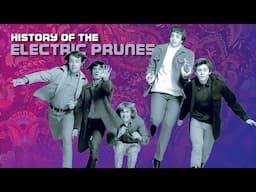 History of the ELECTRIC PRUNES  | #259