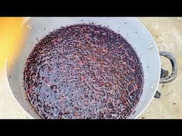 HOW TO MAKE HEALTHY FRUIT ZOBO DRINK.