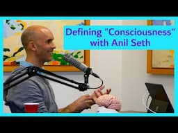 Defining Consciousness with Anil Seth: How Different Theories "Talk Past Each Other"