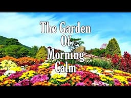 One of the most beautiful Tourist Spot in South korea|The Garden of Morning calm 2| Rovan TV Channel