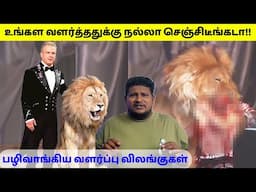 வளர்த்தவரை போட்டுத்தள்ளிய விலங்குகள் | Animals That Ate Their Owners in Tamil |  TAMIL AMAZING FACTS