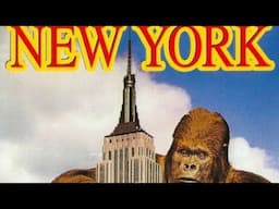 Top 10 Things To Do In New york !