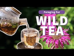 The Ultimate Guide to Foraging Wild Teas: 12 Plants to Try