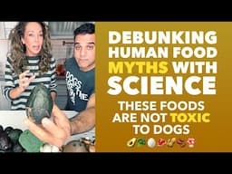 What Human Foods Are Toxic to Dogs?