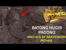 BATONG HUGIS PAGONG ULO NITO AY NAKATINGIN SA TAAS