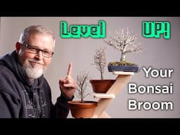 Bonsaify | One Simple Principle to Level UP! your Zelkova Bonsai!