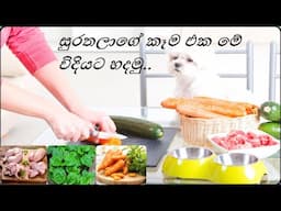 Homemade Dog Food Recipe Sinhala /බලු සුරතලාට ගෙදරදීම හදන කෑම වේලක් දෙමු