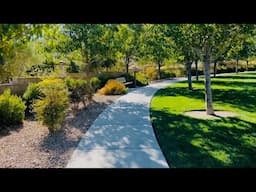 Morning Walk at the Summerlin Neighborhood Park In Las Vegas Nevada, USA | Cali Que Em