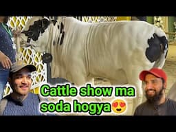 Alhamdulilah cattle show ma Deal karli noori cattle farm ne😍❤️