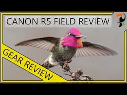 Canon R5: Bird Photography Field Review