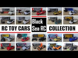 Overview of BlackSeaRC Collection - RC Toy Cars - RASTAR / RW / MZ & others