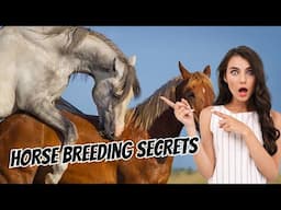 Horse Breeding Secrets: Crossing Arabians, Mustangs, and Thoroughbreds 🐎🔥