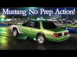 Mustang No Prep Action!