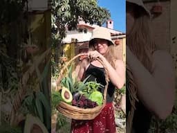 Tour por el huerto de Eva VIDEO NUEVO 🌿🥬💚#shortvideo #short #shorts #agriculture