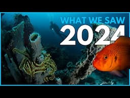 The ocean of 2024