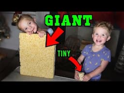 Posie and Zealand tiny VS GIANT food challenge!