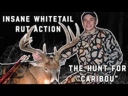 Insane Whitetail Rut Action: The Hunt For "Caribou"