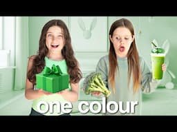 LIVING in ONE COLOUR for 24 HOURS challenge! | Family Fizz