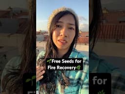 Helping Fire Survivors: Free Seeds for Regrowth 🌱