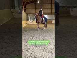 3 Easy Flatwork Exercises for Small Arenas #horses #dressage