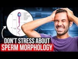 Don’t Stress About Sperm Morphology: What It Means for IUI and IVF