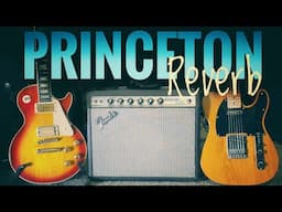 Fender Princeton Reverb’s  HARD ROCK Tone may Surprise You!