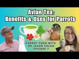 Avian Tea - Benefits & Uses for Parrots | Parrot Food With Dr Jason Crean Episode 7 | BirdNerdSophie