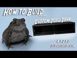 How to Build a Custom Toad Enclosure