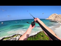 Fishing the Worlds Best Remote Islands! (Hectic Action)