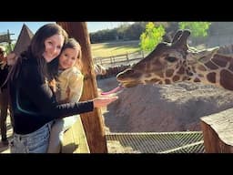 Oak Feeds a Giraffe! Exploring the Wildlife Zoo in Arizona!