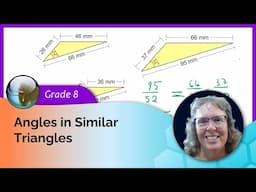 Angles in similar triangles (8th grade math)