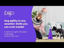 FREE Webinar: Dog agility in any weather: Skills you can train inside!