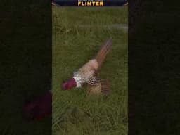 Our GREAT ONE Pheasant Looks AMAZING! #cotw #cotwgameplay #thehuntercotw