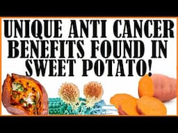 Unique Anti Cancer Benefits Found In Sweet Potatoes!