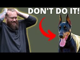 WHY YOU SHOULDN'T GET A DOBERMAN