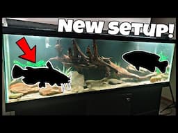 125 Gallon Fish Tank Setup! Freshwater NATIVE FISH Aquarium Build!