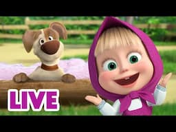 🔴 LIVE 🐻👧 Masha y el Oso 🛀🌺 ¡Tiempo de bañarse! 🎬 Masha and the Bear