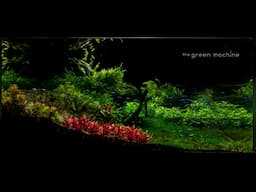 Huge Aquascape Tutorial Step by Step- Spontaneity by James Findley for The Green Machine