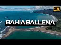 Bahía Ballena, Costa Rica (4K)