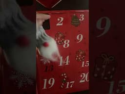 Day 1: What’s inside?? #adventcalendar2023 #christmas #2023 #holiday  #fyp #fy #foryou