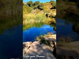 Río de Tranquilidad: Sonidos de la Naturaleza para Relajarse y Meditar