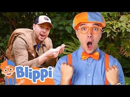 Blippi Explores The Rainforest! | BEST OF BLIPPI! | Learn Colors and Science with Blippi!