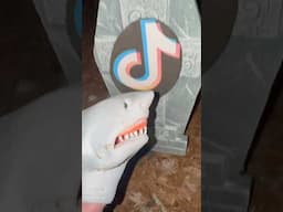 Shark Puppet buries tiktok