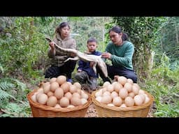 harvesting chicken eggs to sell at the store, regretting that the crocodile did not survival