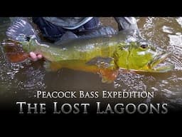 Peacock Bass Expedition - The Lost Lagoons