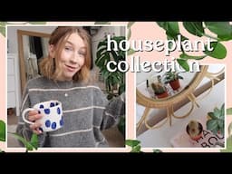 Houseplant Collection | Rhiannon Ashlee