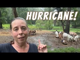 Farming In A Hurricane