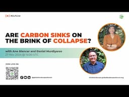 Are carbon sinks on the brink of collapse?  | #GLFLive