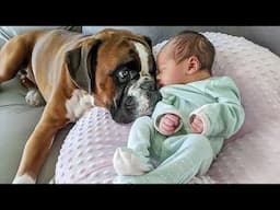 When we grow together through sweet moments - Cute dog and their little friend